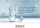 중원공조